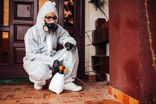 Reliable Wasp Removal contractor in Millbrook, AL by Show Me Pest Control